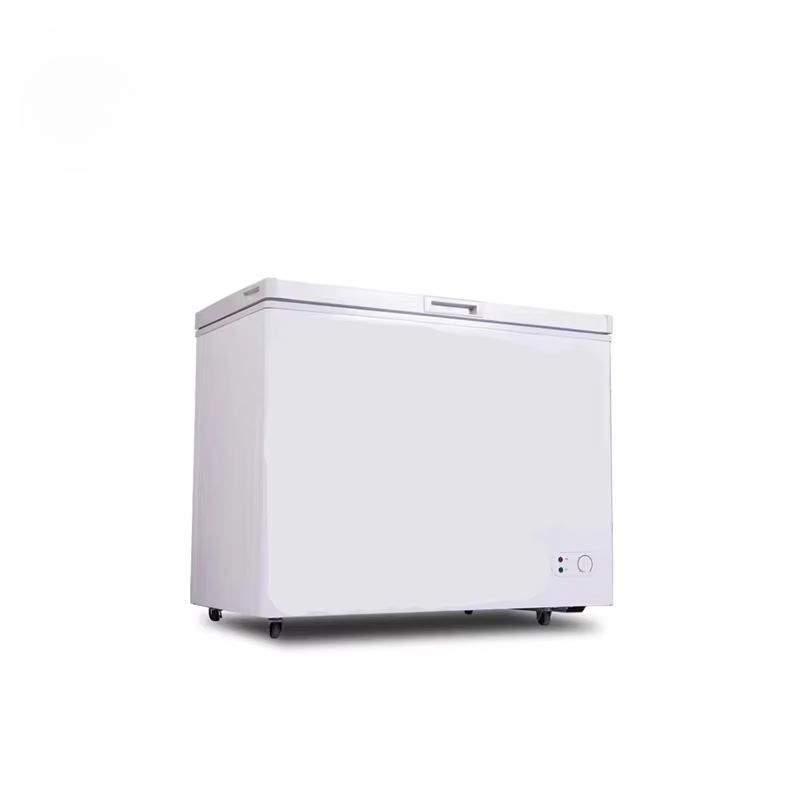 Commercial Chest Freezer - 100~300 리터 작은 용량 상업용 수평