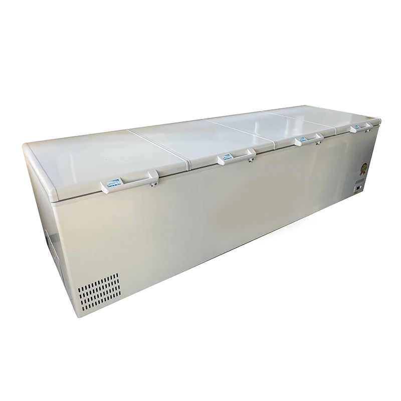 # 공장 핫세일 1300리터 상업용 솔리드 도어 대형  - Commercial Chest Freezer 리뷰 및 가격