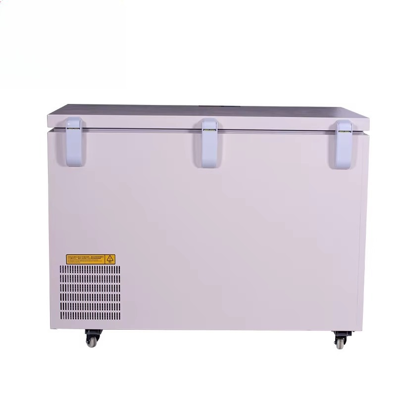 268L -60 ℃   초저온 냉동고 (해산물, 육류, - Commercial Chest Freezer 리뷰 및 가격